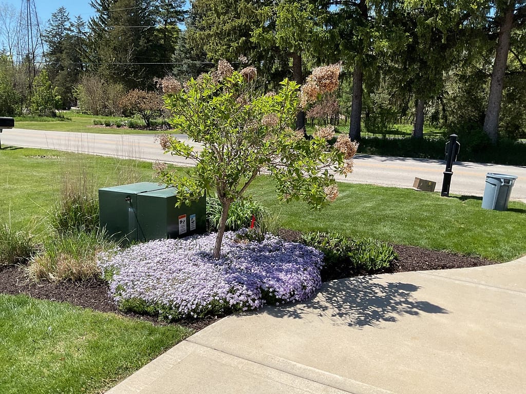 landscape design in racine