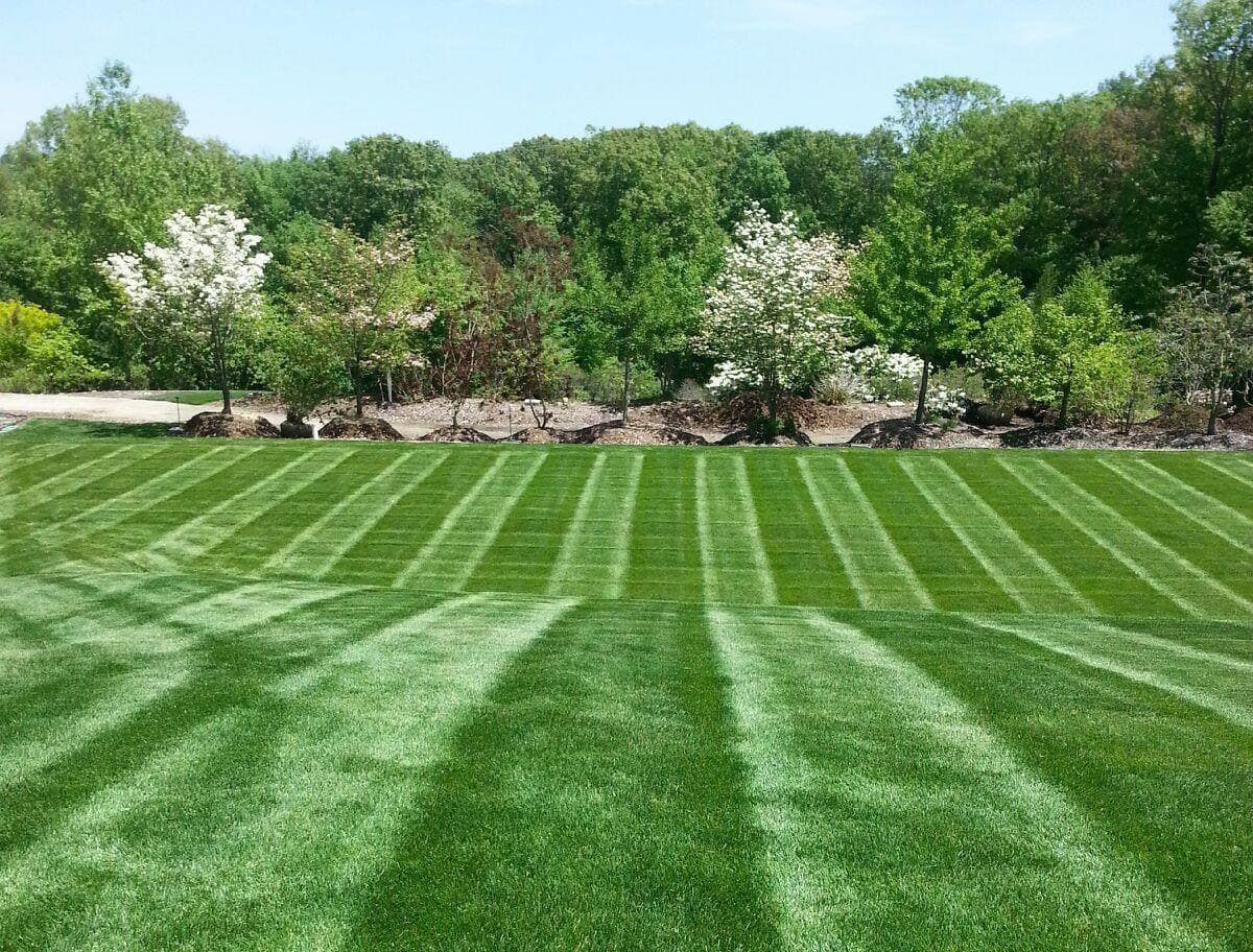 lawn care questions racine