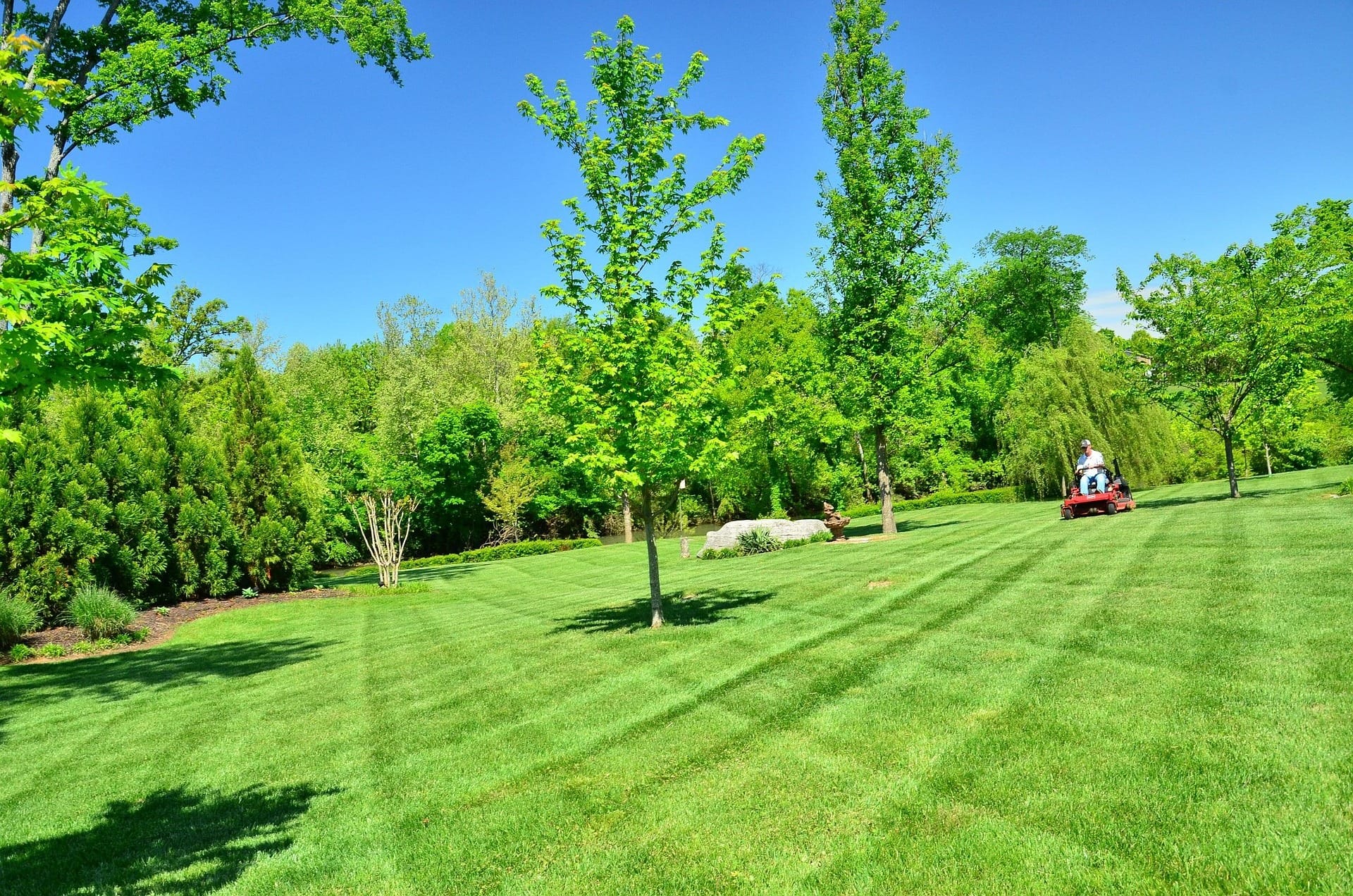 lawn care service areas