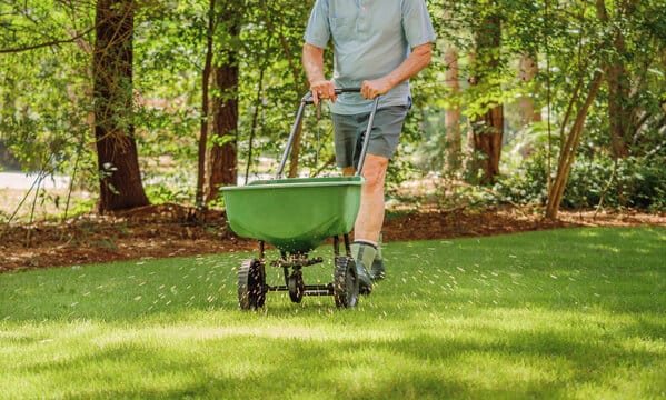 lawn fertilization in racine