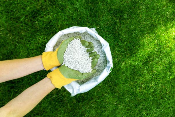 lawn fertilization in racine