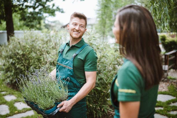 racine lawn care company