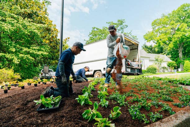 racine lawn care company